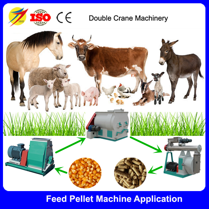 Shuanghe Double Shaft paddle mixer large capacity feed mixing machine sale in South Africa