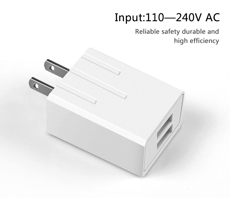 EU plug 5V 2A dual USB port AC wall travel charger for cellphone