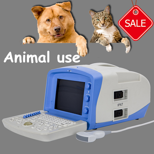 HOT Animal softwarePortable Ultrasound Scanners with CE and ISO