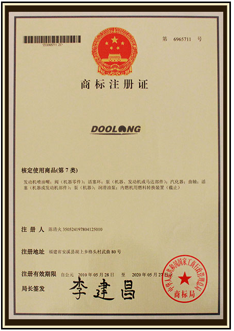 ZFXI E DOOLONG AD series plunger