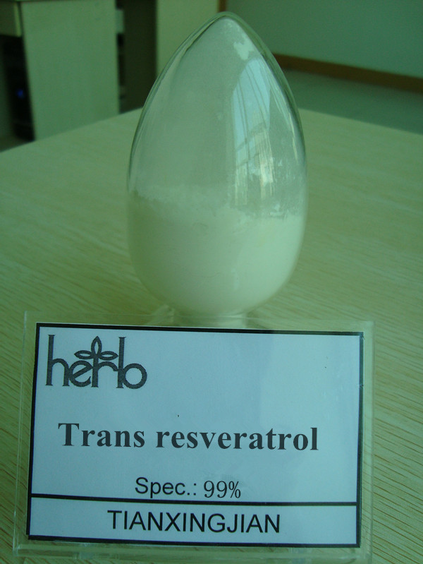 Polygonum Cuspidatum Extract Resveratrol 98