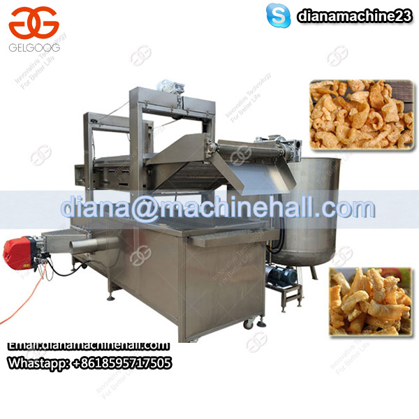 Continuous Chips Fryer Machine