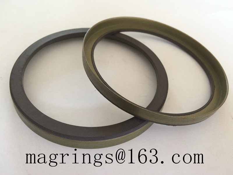 Magnetic ABS ring for Audi