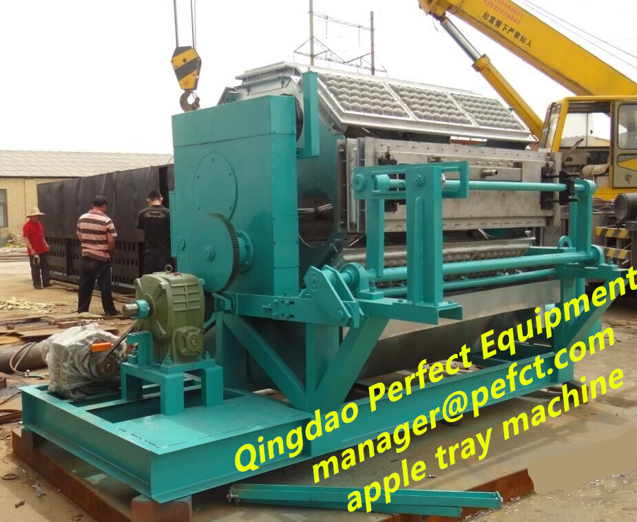 CE standard small egg tray making machine