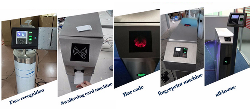 Customized Face Recognition Flap Barrier GateTurnstile Access Control