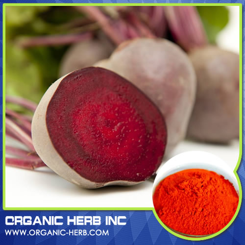 beet root extract