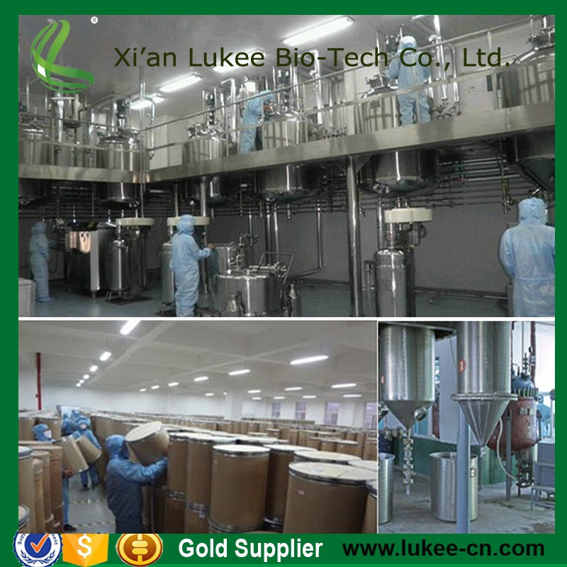 Manufacturer supply high quality food grade chitosan DAC 8095 for additives and nutrition supplement