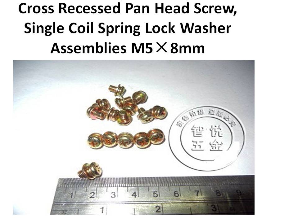 Pan Head AssembliesSpring Lock Washer and Plain WasherSems Machine Screws M3M4M5M6
