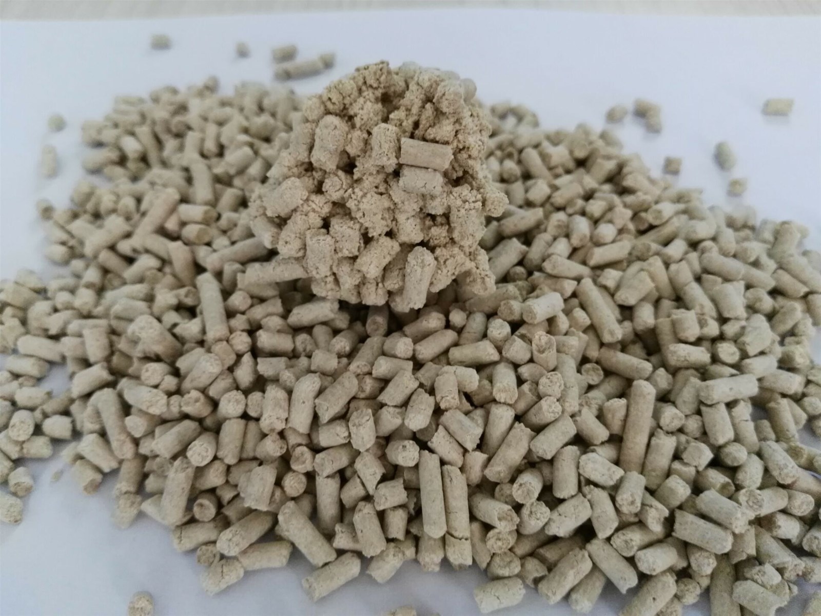 clumping coffee scent plant cat litter