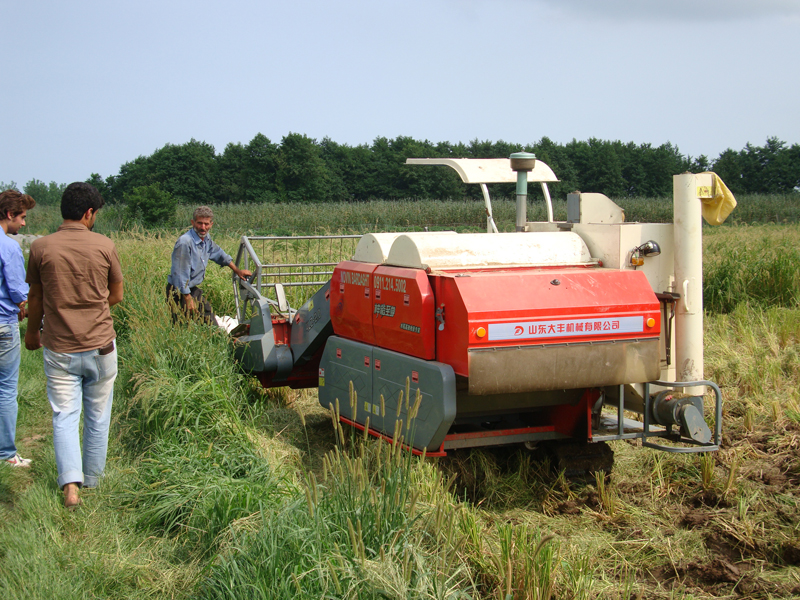 Rice and Wheat Combine Harvester