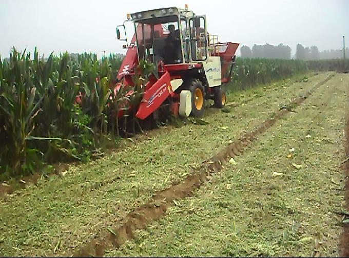Selfpropelled Corn Combine Harvester