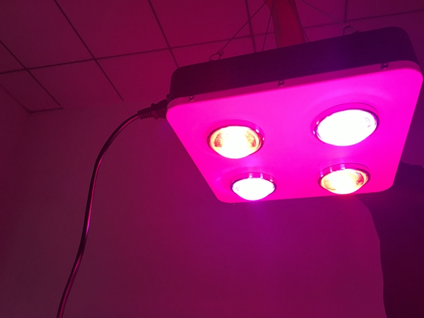 full spectrum cob growlight with dimmers for indoor greenhouse light