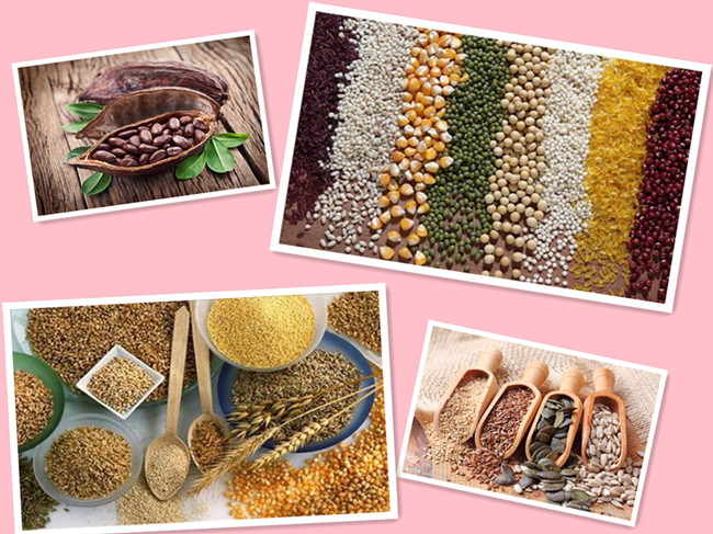 Rapeseed sordhum sago cleaner grader machine