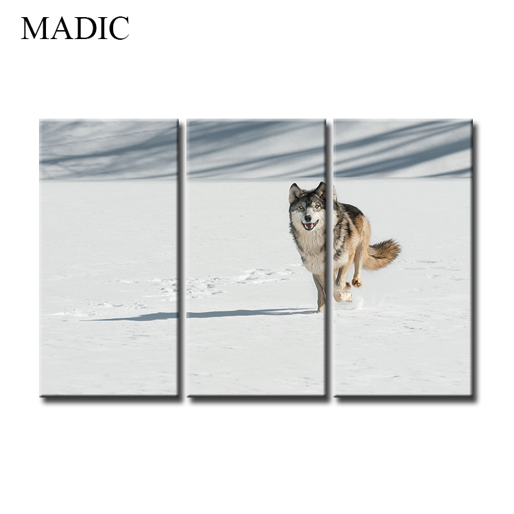 Canvas wall art home decor 3 piece oil painting of wolf digital canvas prints pictures