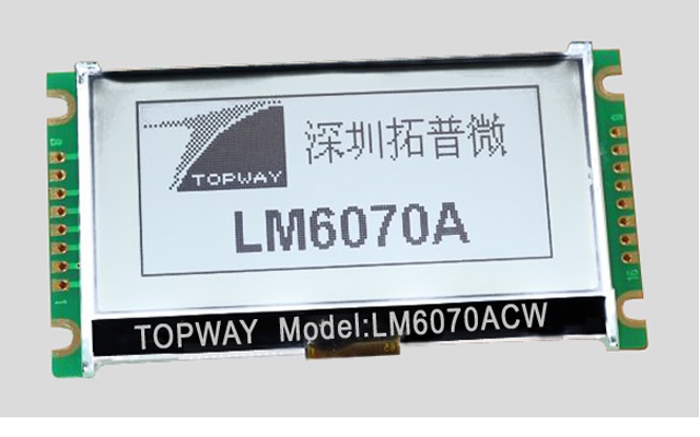 160X64 Graphic LCD Display Cog Type LCD Module LM6070A