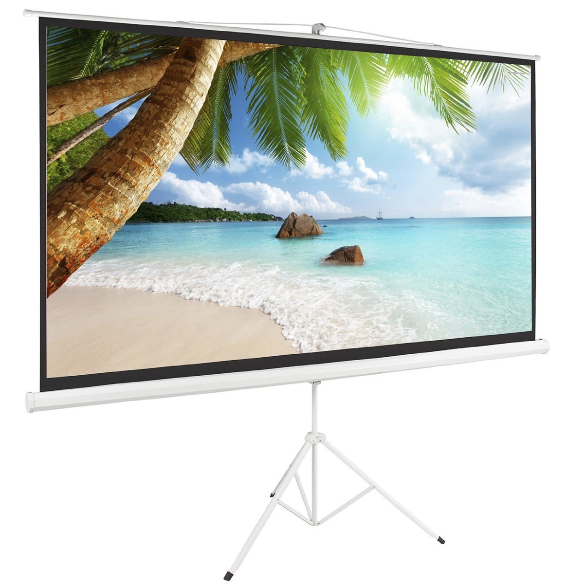 Cynthia Portable Tripod Stand Projector Screen