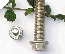 Flange Bolts