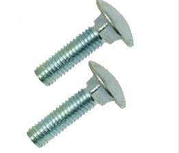 Carriage BoltsPlow Bolts