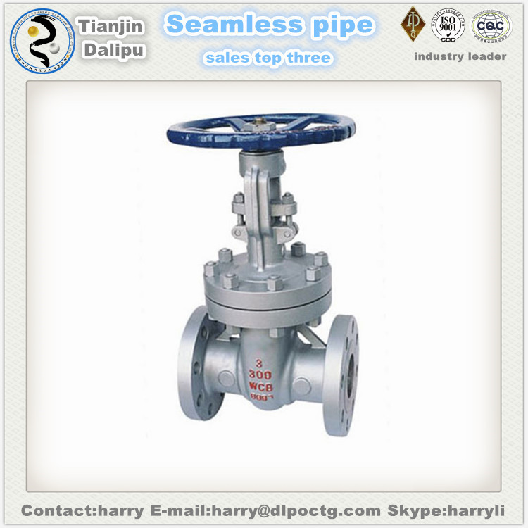 pipe fittings oil and gas ball non Return valve Swing check valve pipe fittings oil and gas ball non Return valve Swing check valve