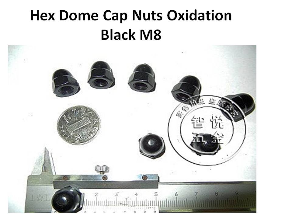 DIN 1587 Hex Dome Cap Nuts M3M4M5M6M8