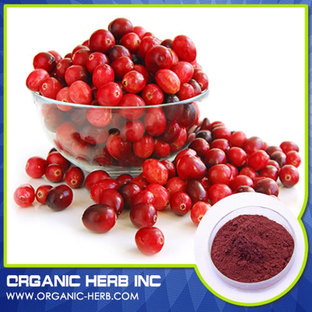 Cranberry seed extract 101 cranberry plants extract 10