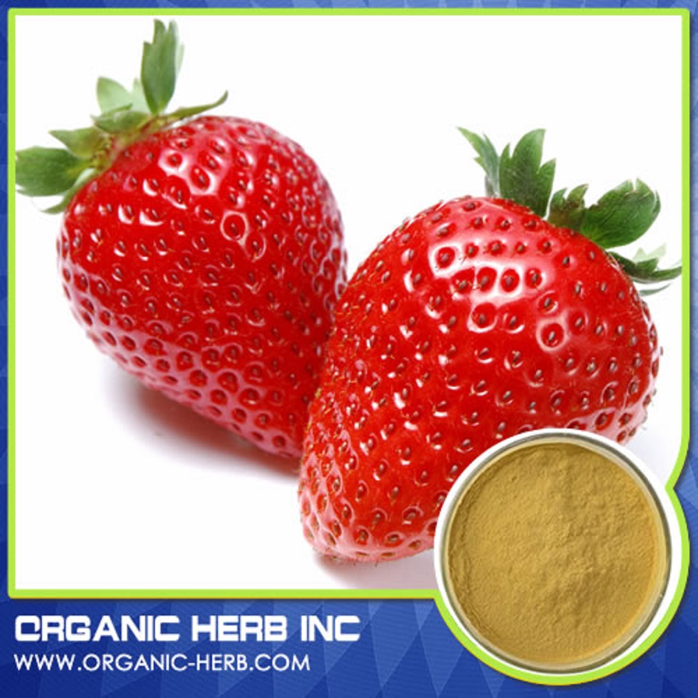 Free Sample Strawberry ExtractStrawberry Red Food ColorStrawberry Flavour Powder Extract