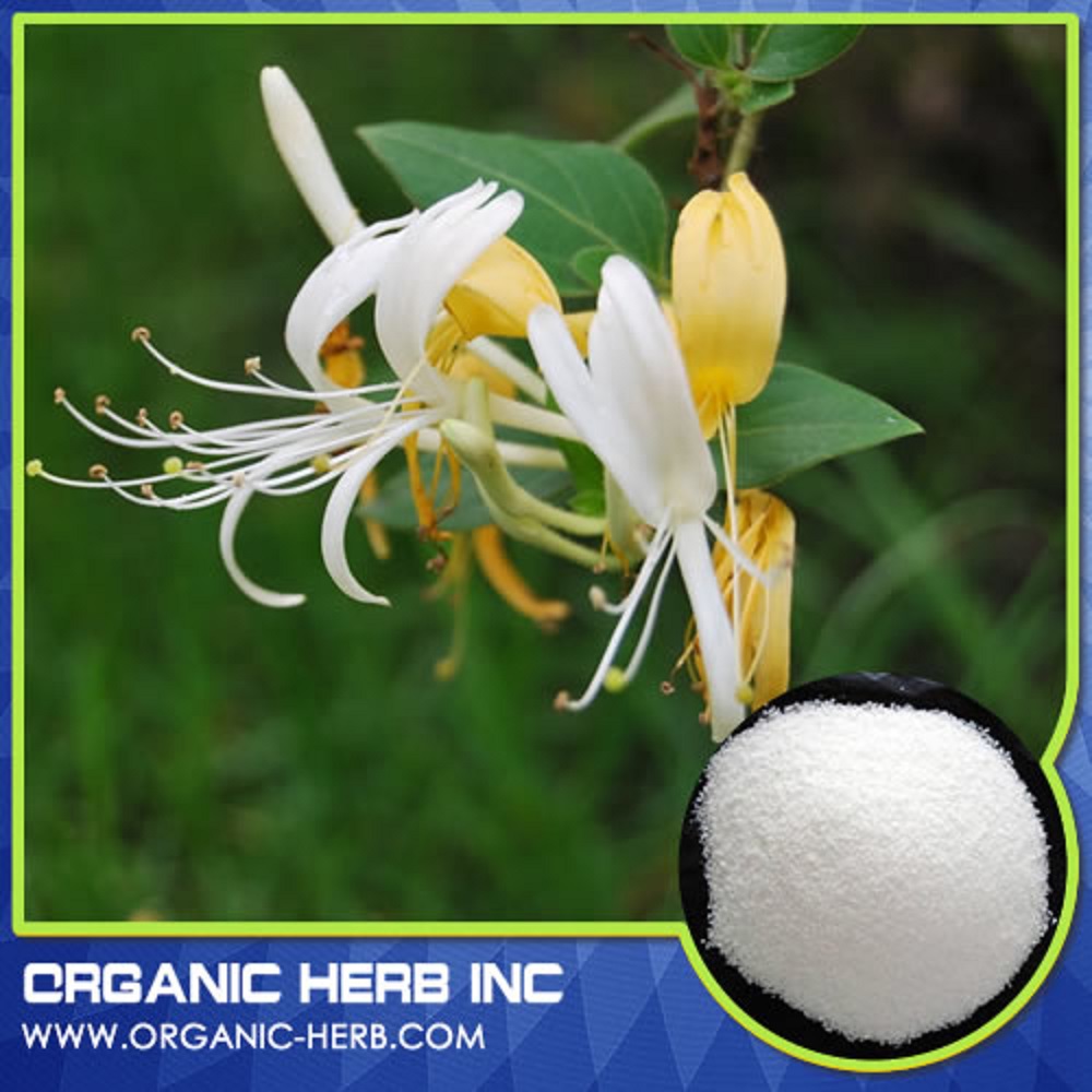 Honeysuckle Extract powderISO Certified Honeysuckle ExtractNatural Chlorogenic Acid