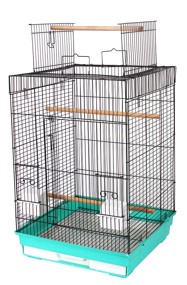 Special Bird Cage, Colorful Plastic Tray from China Manufacturer