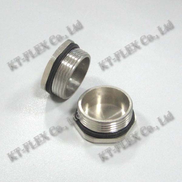 Stainless steel brass hex plug