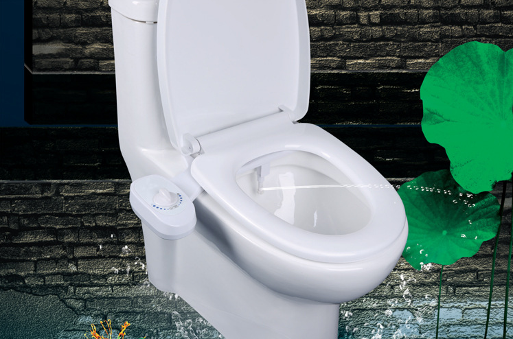 Water Selfcleaning single nozzle Toilet Bidet CB1000