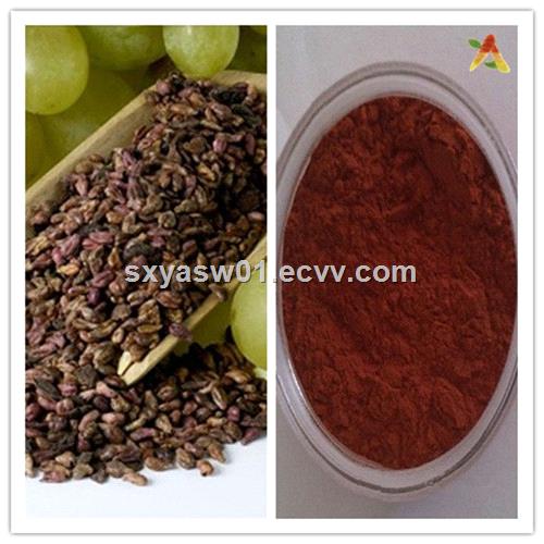 Natural Antioxidant Polyphenols OPC 95 Grape Seed Extract