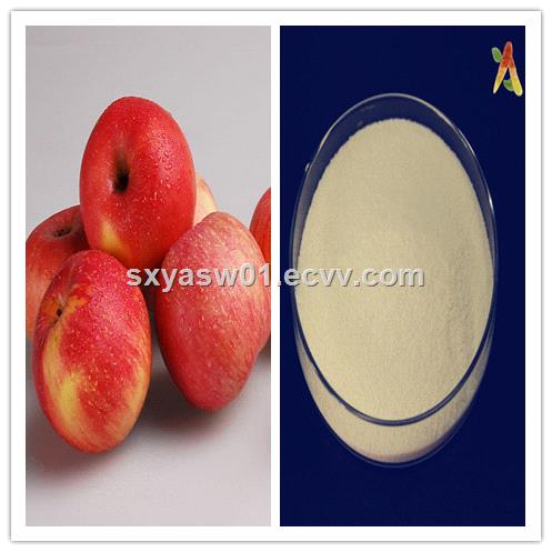 High Purity Natural CAS No 60822 Apple Extract 98 Phloretin