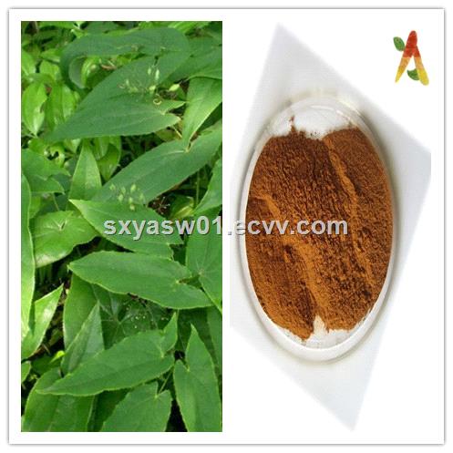 Natural Icariin CAS No 489327 Epimedium Extract