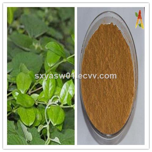 Natural Gymnemic Acids lower blood sugar Gymnema Sylvestre Extract