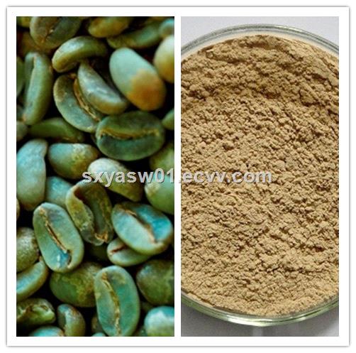 natural chlorogenic acids anti aging green coffee bean extract