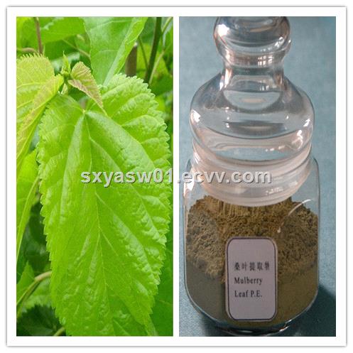 Natural DNJ 1Deoxynojirimycin hydrochloride Mulberry Leaf Extract