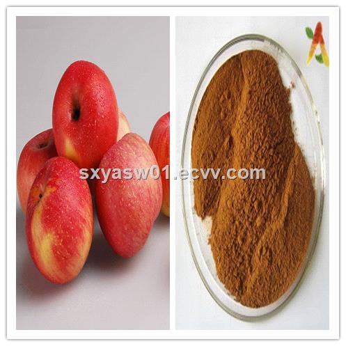 Natural prevent vitamin loss Apple Polyphenols Apple Extract