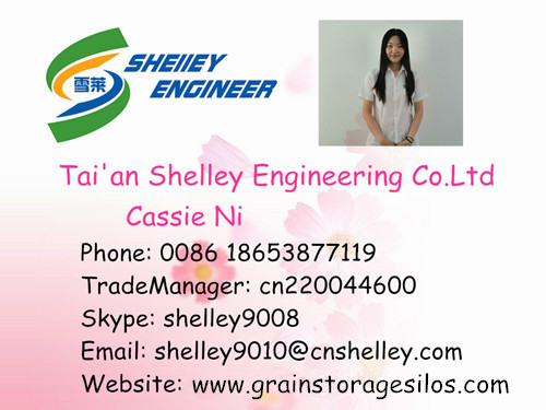 10000 ton corn storage grain silo manufacturers