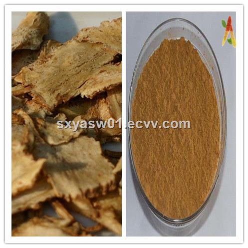 Natural Angelica Sinensis Extract 1 Ligustilide