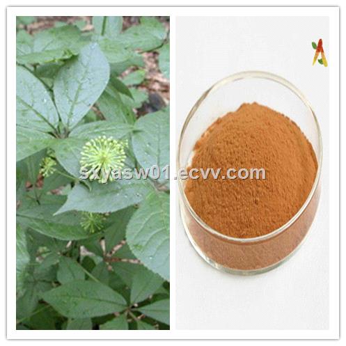 Natural treat pain Eleutheroside Siberian Ginseng Root Extract