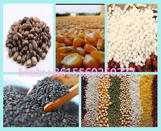 Sabal fruit glutinous rice vibrating gravity cleaner grader