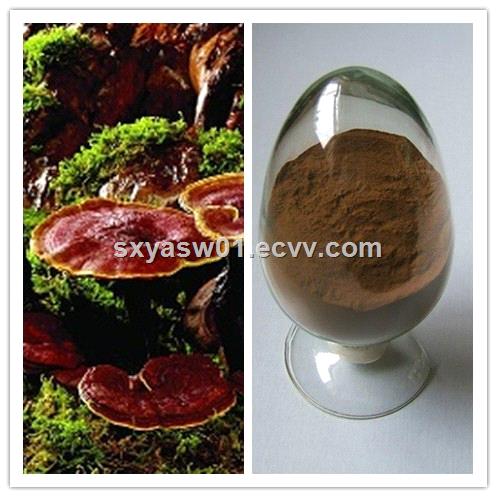 anti cancer anti aging sleep aid Polysaccharide 20 Ganoderma Lucidum Extract