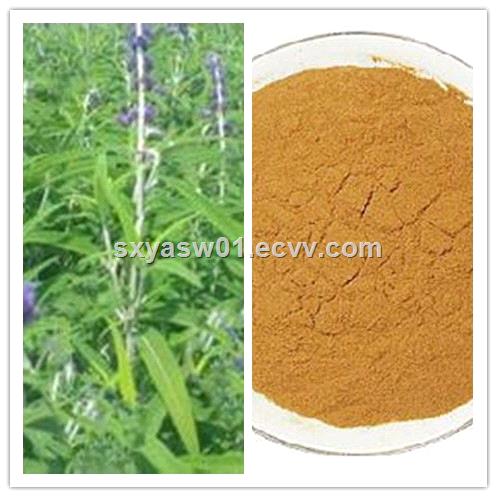 Natural Coleus Forskohlii Extract 10 20 40 Forskolin