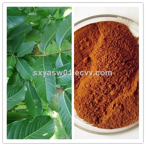 Natural CAS No 4547244 Banaba Leaf Extract with Corosolic Acid