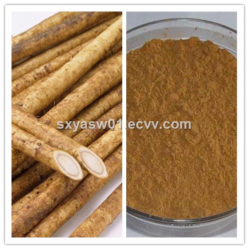 Natural Great Burdock Extract Fructus Arctii Extract 10 20 Arctiin