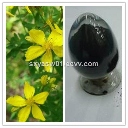 Natural CAS No 548049 StJohns Wort Extract 030 Hypericins