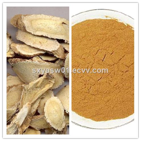 Natural Astragalus Polysaccharides Astragalus Root Extract