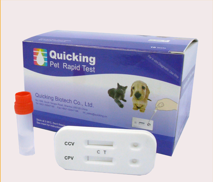 Canine Parvovirus Ag Test with ISO9001
