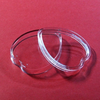 Transparent coin display capsule