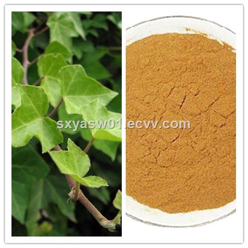 Natural Hederacoside C IVY Saponins CAS No 84082542 Ivy Extract